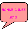   BONNE ANNEE               2010!! 